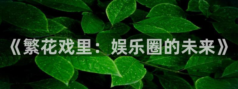 永信贵宾会手机版