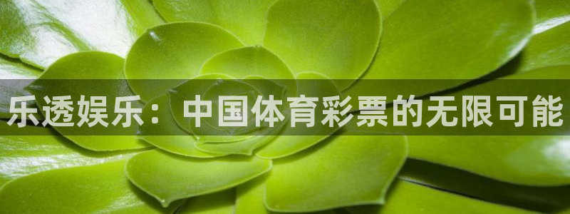 永信贵宾会信誉好不